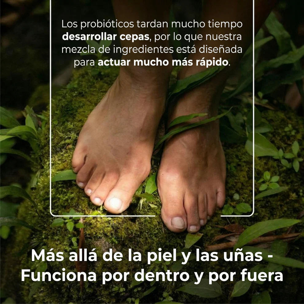 Imagen de diapositiva