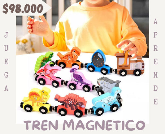 Tren Magnético Números