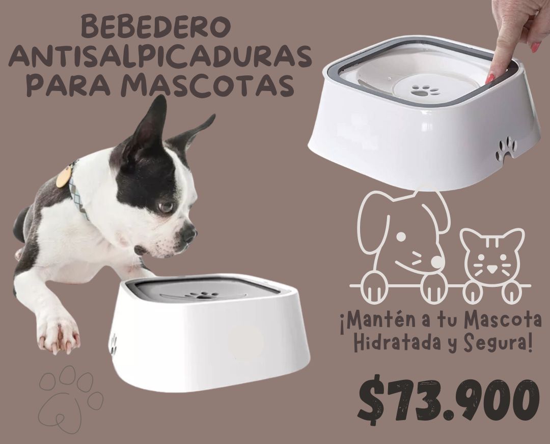 Bebedero Anti salpicaduras Para Mascotas