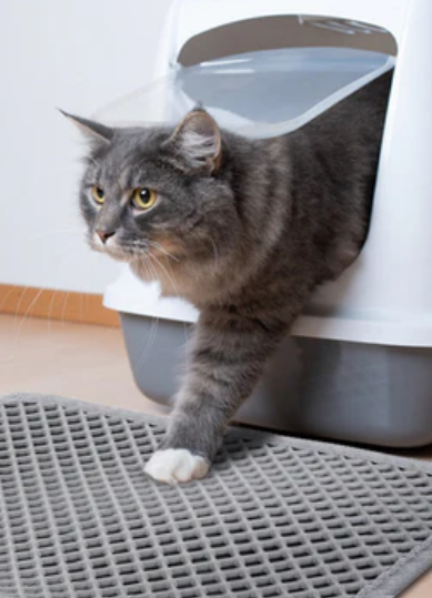 Tapete Arenero para Gato Limpieza