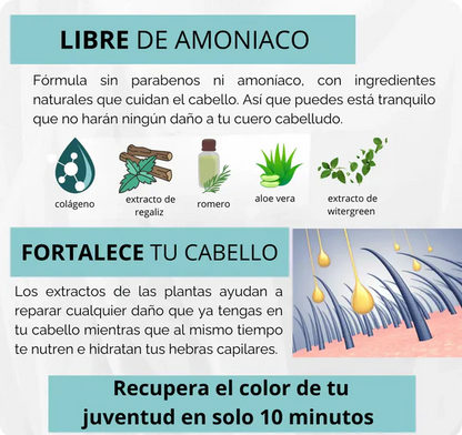 Shampoo Anti Canas +Obsequios