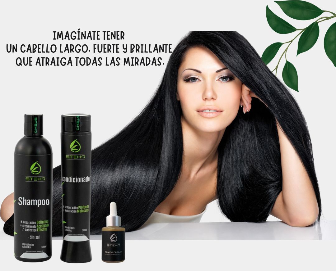 Shampoo Steho 500 ml