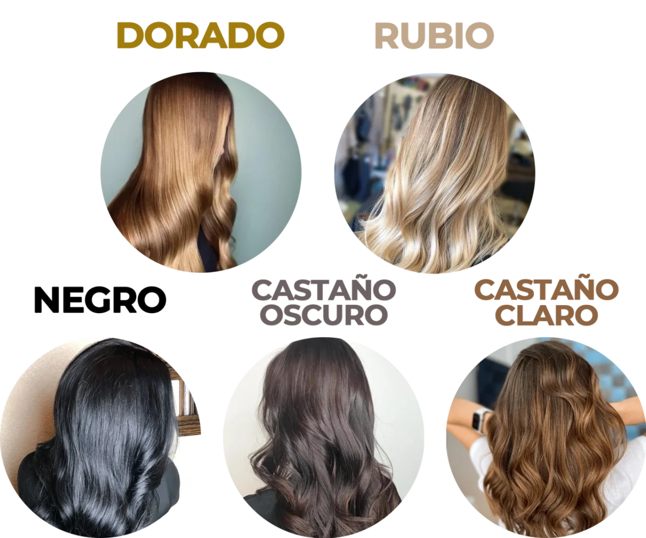 Shampoo Anti Canas +Obsequios