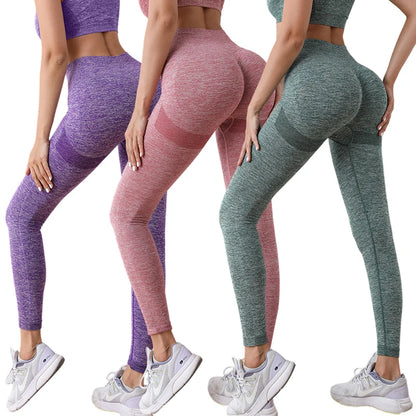 Conjunto Deportivo leggins+ Top Fitness